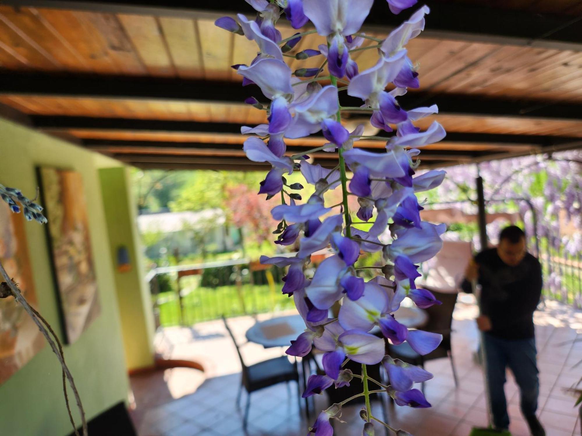 B&B Villa Sabrina Arezzo Buitenkant foto